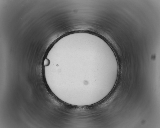 X0000100360834200807031836