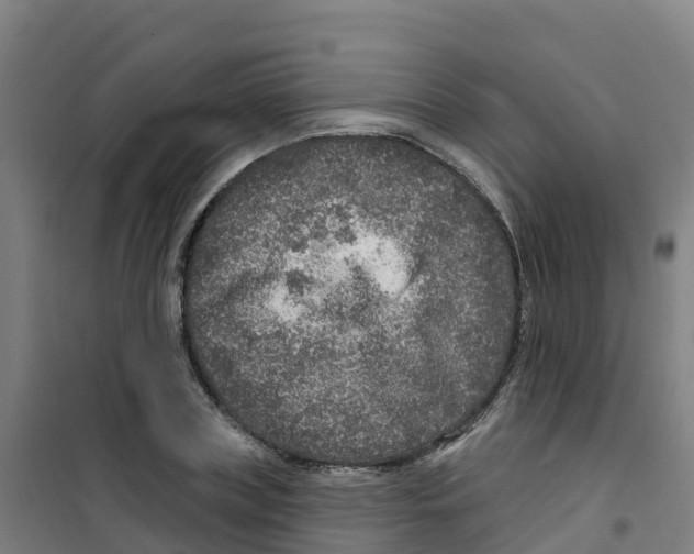 X0000100360835200807031836