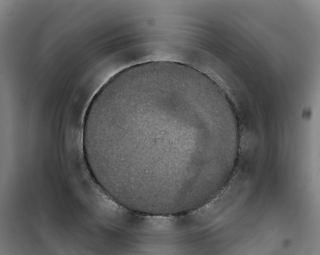 X0000100360836200807031836