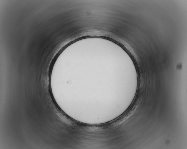 X0000100360837200807031836