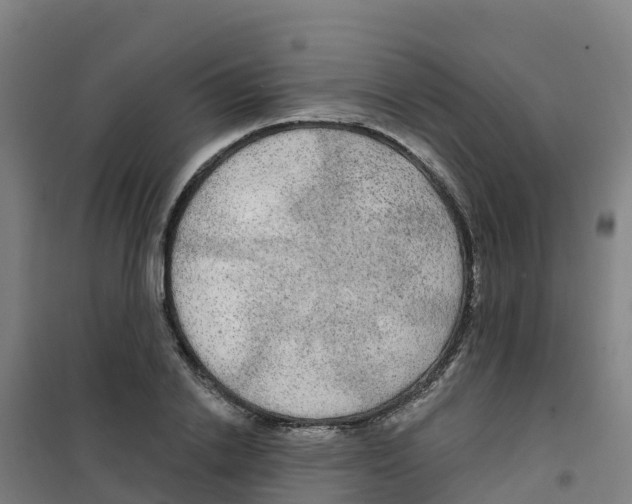 X0000100360838200807031836