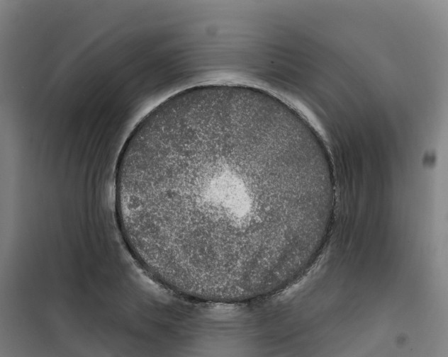 X0000100360839200807031836