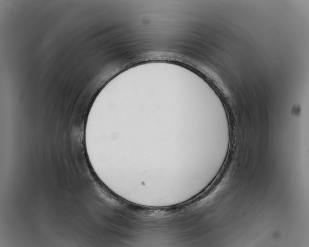 X0000100360841200807031836