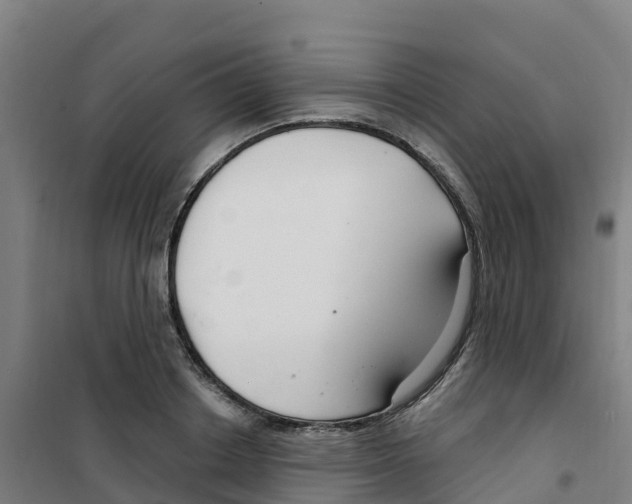 X0000100360842200807031836