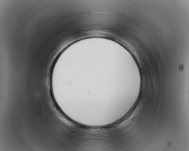 X0000100360843200807031836