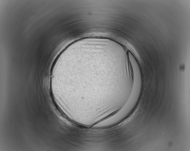 X0000100360844200807031836