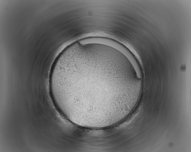 X0000100360845200807031836