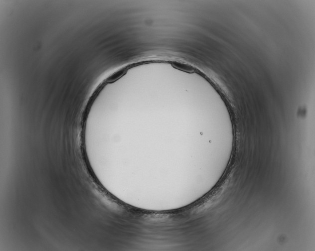 X0000100360846200807031836