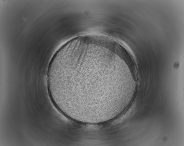 X0000100360847200807031836
