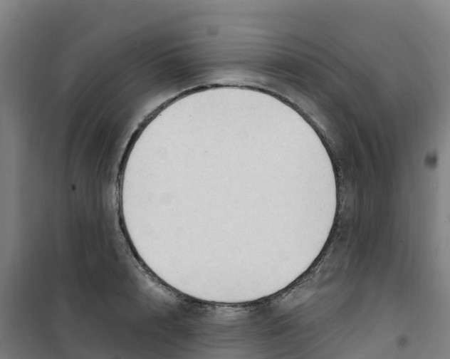 X0000100360848200807031836