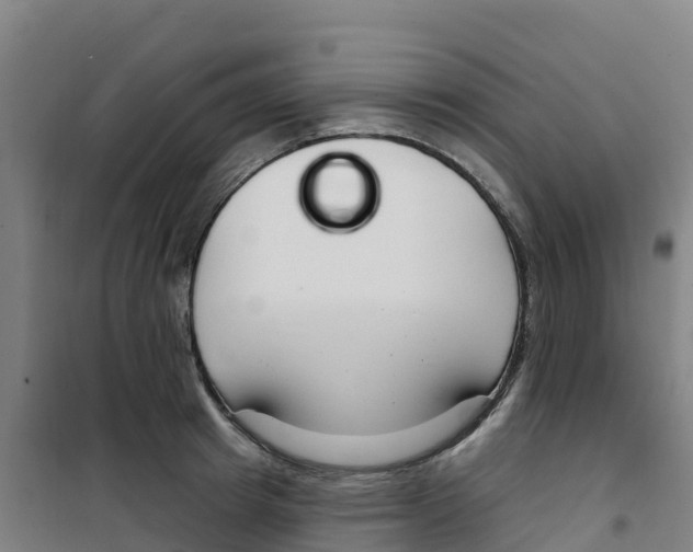 X0000100360849200807031836