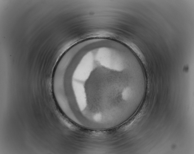 X0000100360850200807031836