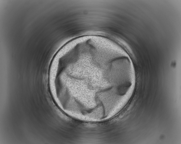 X0000100360852200807031836