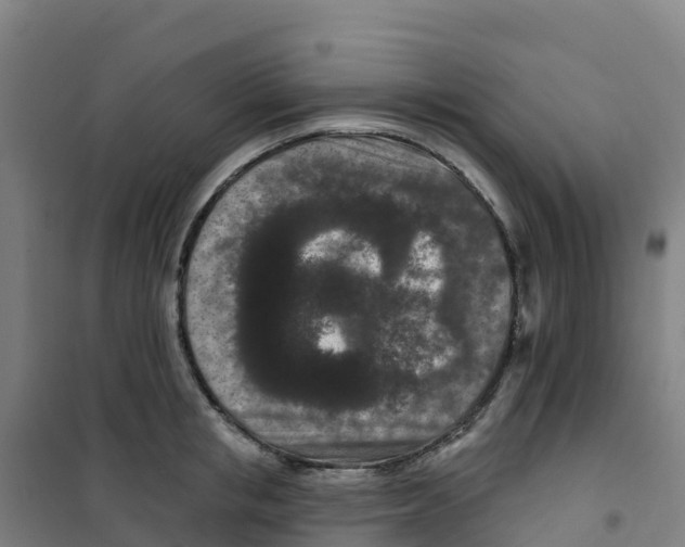 X0000100360853200807031836