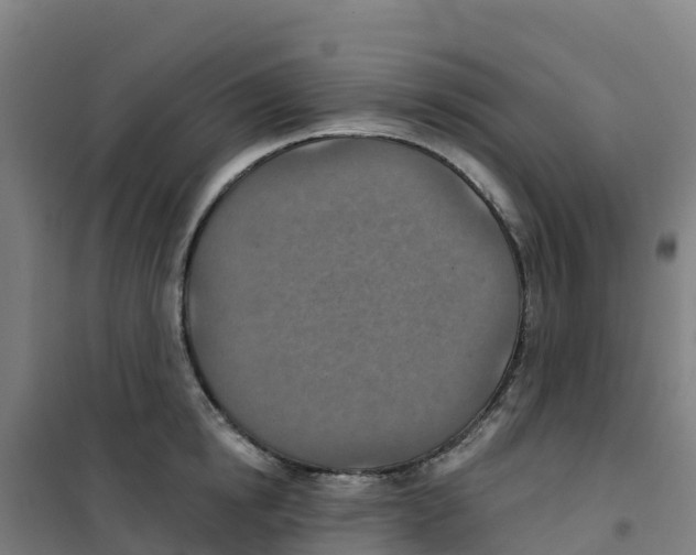 X0000100360854200807031836