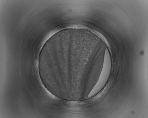X0000100360855200807031836