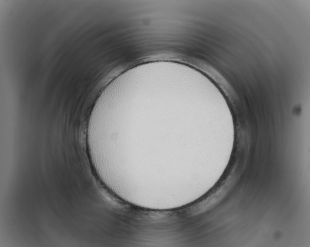 X0000100360857200807031836