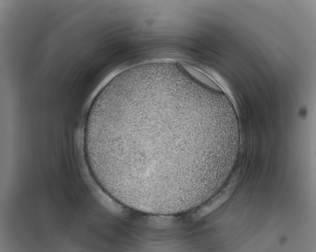 X0000100360859200807031836