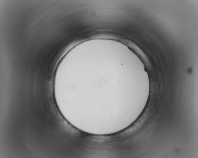X0000100360860200807031836