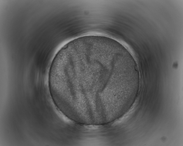 X0000100360862200807031836