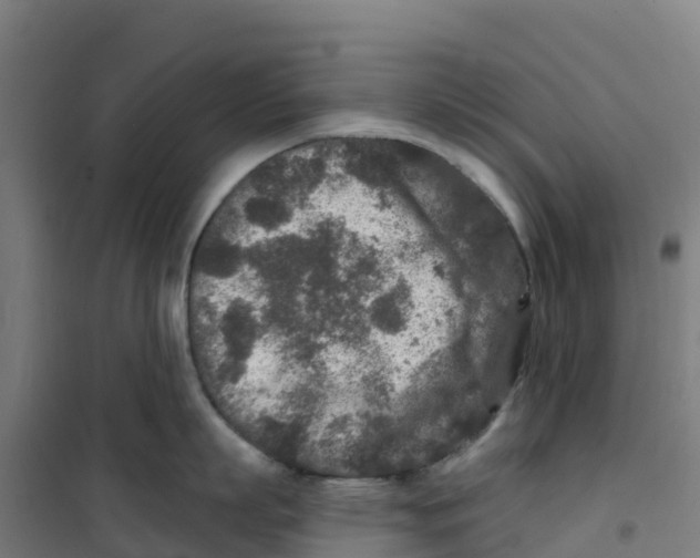 X0000100360863200807031836