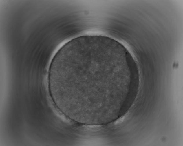 X0000100360864200807031836
