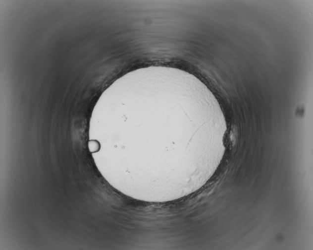 X0000100360867200807031835