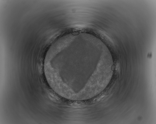 X0000100360868200807031835