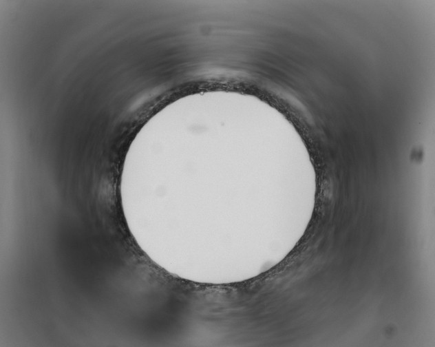 X0000100360869200807031835