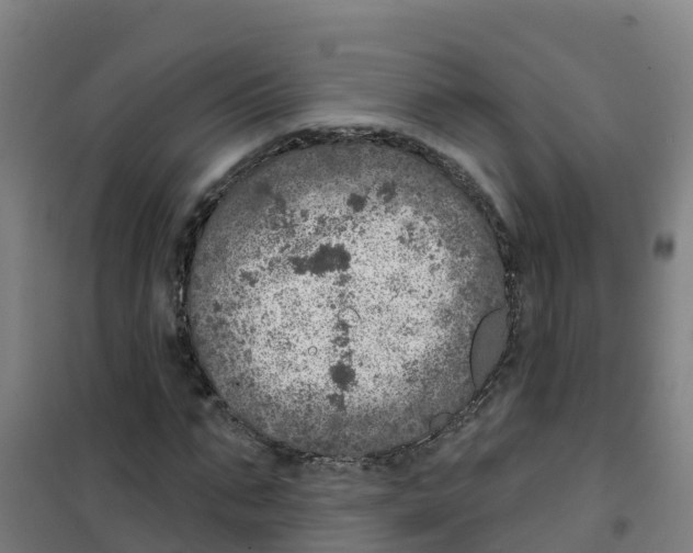 X0000100360871200807031835