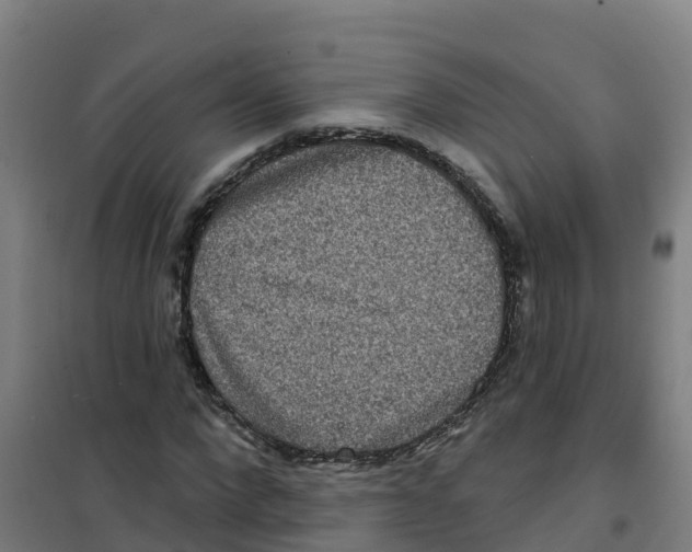 X0000100360872200807031835