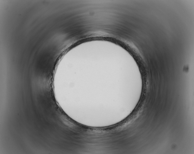 X0000100360873200807031835