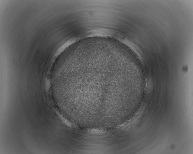 X0000100360874200807031835