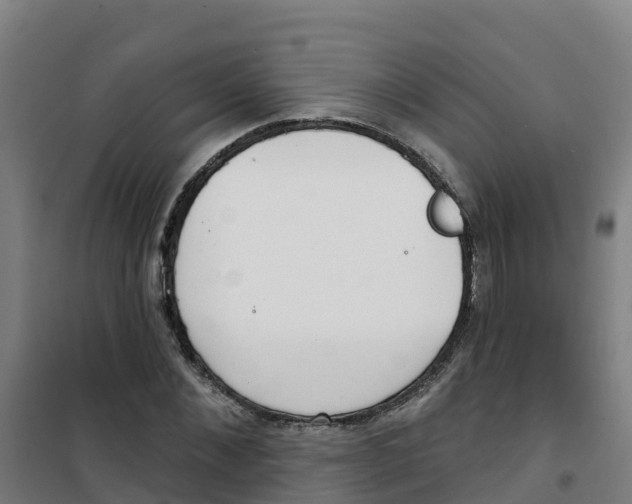 X0000100360876200807031835