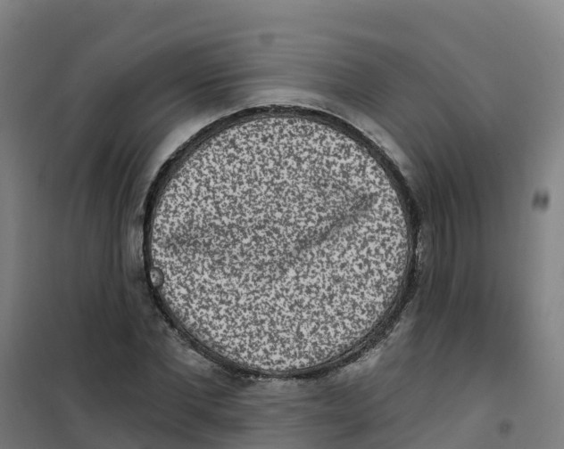 X0000100360877200807031835