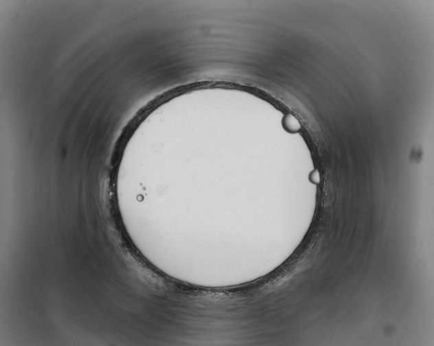 X0000100360880200807031835