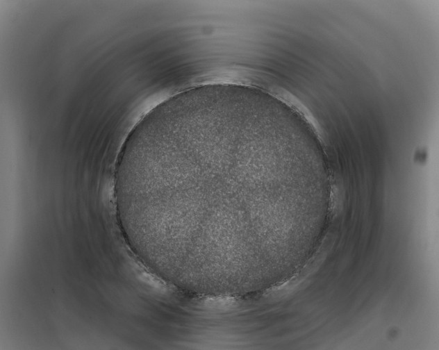 X0000100360882200807031835