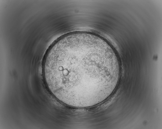 X0000100360883200807031835