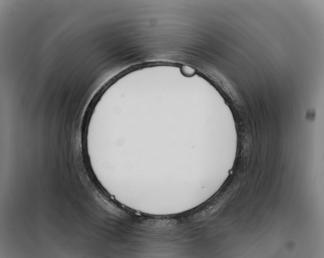 X0000100360884200807031835