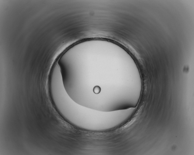 X0000100360885200807031835