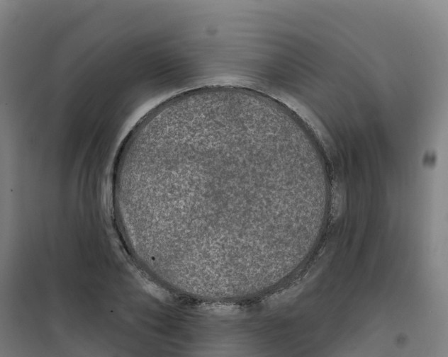 X0000100360886200807031835