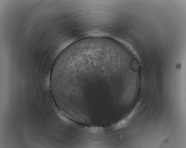 X0000100360889200807031835