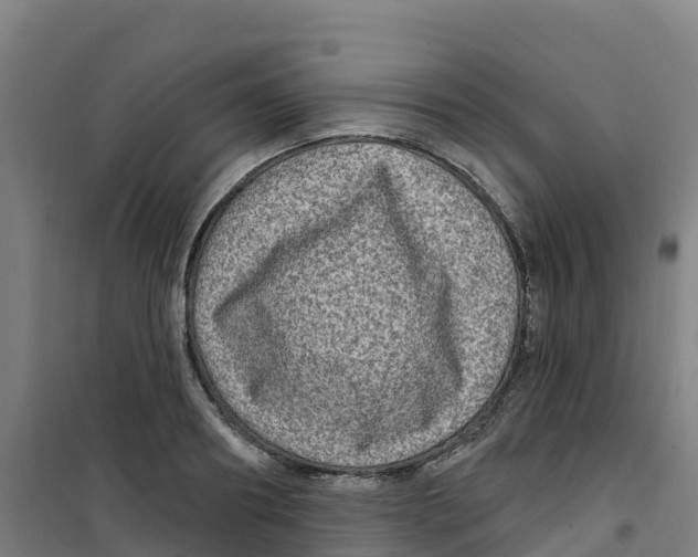 X0000100360890200807031835