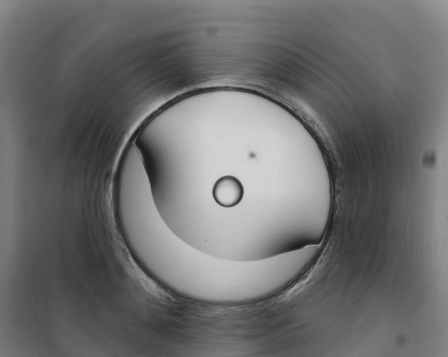 X0000100360892200807031835