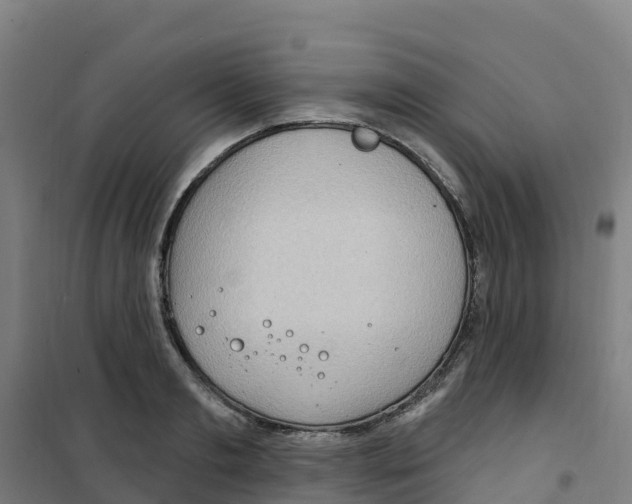 X0000100360893200807031835