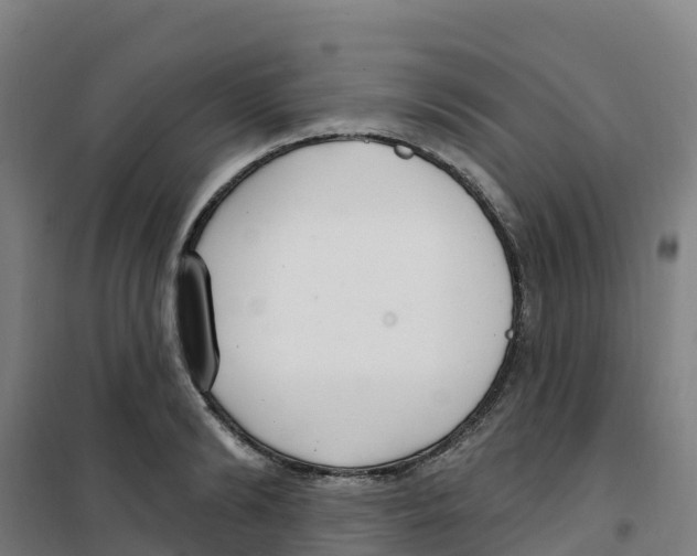 X0000100360894200807031835