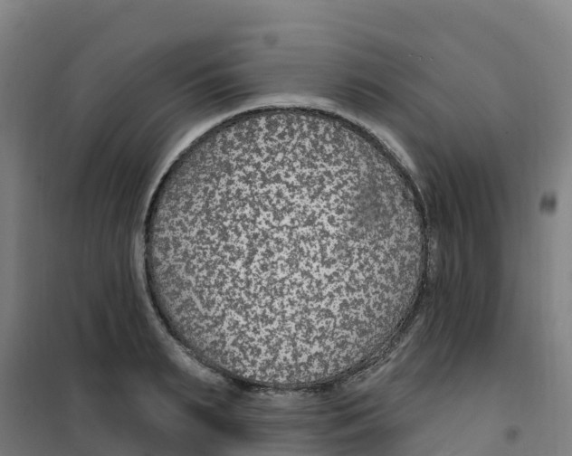 X0000100360895200807031835