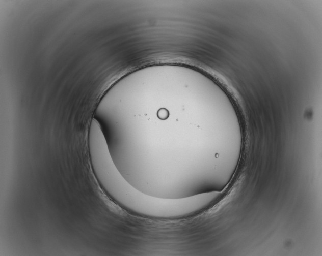 X0000100360897200807031835