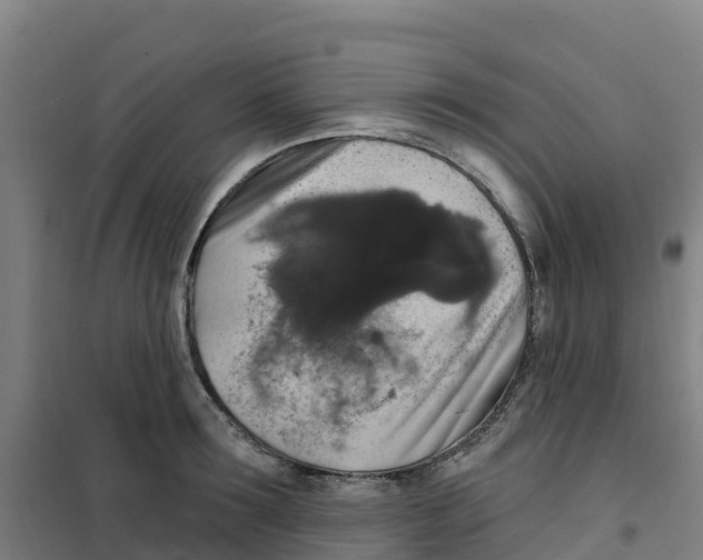 X0000100360899200807031835