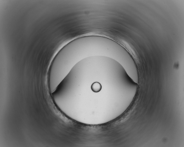 X0000100360900200807031835